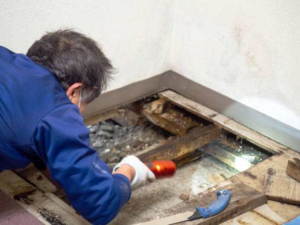 Water Damage Restoration in Waterville, ME