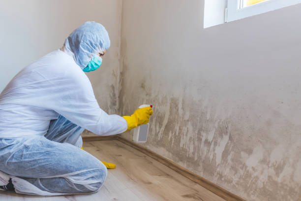 Best Crawl Space Mold Removal  in Waterville, ME