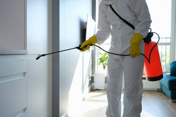 Best Office Mold Removal Services  in Waterville, ME