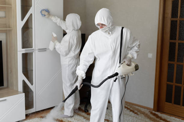 Best Mold Removal Specialists  in Waterville, ME