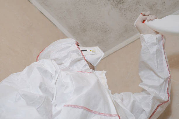 Best Emergency Mold Removal  in Waterville, ME